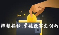 企业数字钱包限额揭秘：